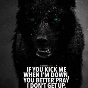 Meet your Posher, Killion